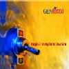 Voglio svegliare laurora (2003)